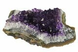 Dark Purple, Amethyst Crystal Cluster - Uruguay #139480-1